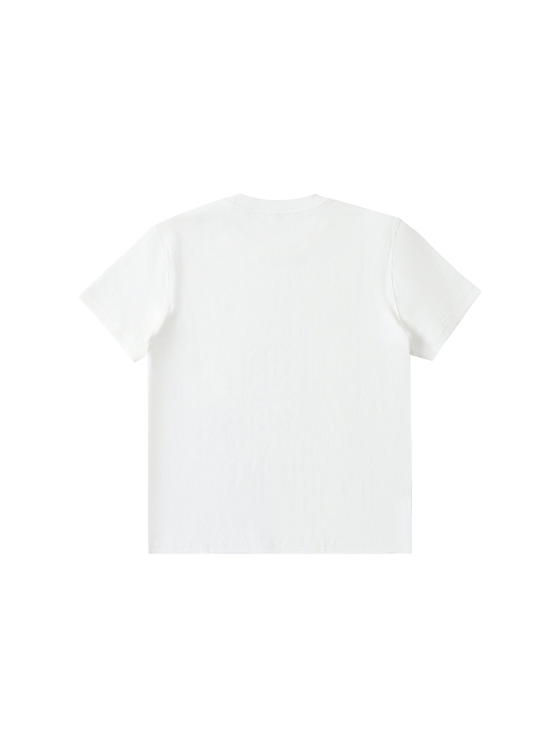 Men's Bodycon Ribbed Crop Top